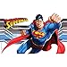 Tervis Superman Tumbler with Wrap and Red Lid 10oz Wavy, Clear