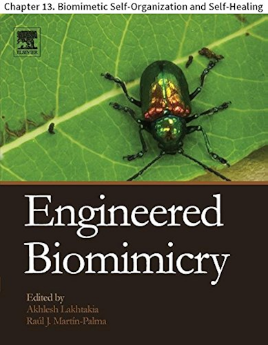 Download Engineered Biomimicry: Chapter 13. Biomimetic Self-Organization and Self-Healing (English Edition) PDF