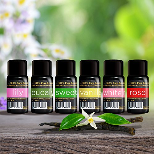 Home Fragrance Aromatherapy Oil Set for Diffusers - 6 Aromatherapy Oil Bottles 15 Ml Each, Lily - Eucalyptus - Sweet Pea - Vanilla - White Musk - Rose.
