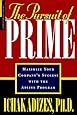 The Pursuit of Prime: Maximize Your Company's Success with the Adizes Program