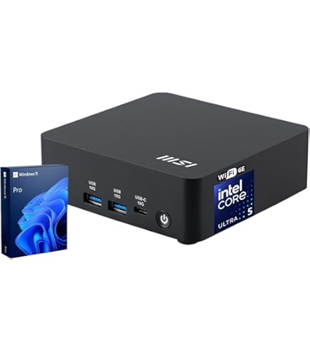 Amazon.com: MSI Pro i5-12400 16GB RAM 500 GB SSD Windows 11 Mini