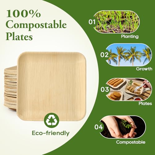 ECOLipak 10 Inch Compostable Palm Leaf Plate Like Bamboo Plate, 50 Pack | Disposable Biodegradable Plates, Suitable for Party, Dinner