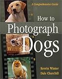 How To Photograph Dogs: A Comprehensive Guide