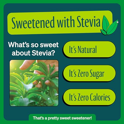 ZEVIA ZERO CALORIE SODA, GINGER ALE, 12 OUNCE CAN