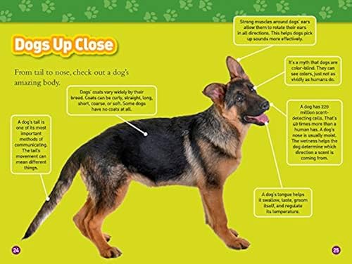 National Geographic Kids Information About Dogs For Kids Woof