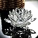 Nesee Lotus Crystal Candle Holder, Colorful Crystal Glass Lotus Flower Candle Tea Light Holder Buddhist Candlestick (A)