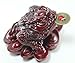 Fortune Coin Red Money Toad/Frog/Chan Chu - Feng Shui Chinese Charm of Prosperity Decoration Gift