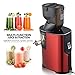 BuySevenSide best juicer Extractor for Low speed extraction produces up to 98% fresh juice with No waste on fruits or vegetables and No harm to vitamins