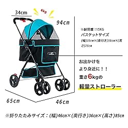 PETIQUE Swift- Black