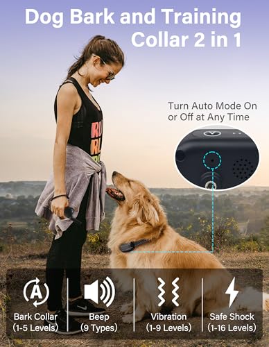 PaiPaitek 2-in-1 Dog Bark Collar and Shock Collar with Remote 3300ft Range - 5 Adjustable Sensitivity Levels, IP67 Waterproof Training Collar for Medium Large Dogs (40-150 lbs) | Indoor & Outdoor Use