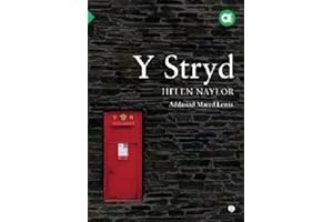 Cyfres Amdani: Y Stryd (Welsh Edition)