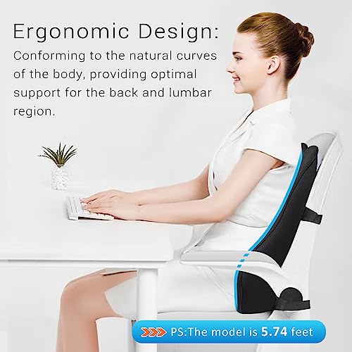 Lumbar Support Pillow for Office Chair Lumbar Pillow for Car Memory