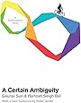 A Certain Ambiguity: A Mathematical Novel