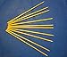 WILLIAM TELL ARCHERY 10 X Featherless Arrows for WT4-Xtreme Power Crossbow