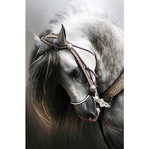 Moohue Beginner 14ct Counted Cross Stitch Kits Handsome Horse Handwork Embroidery Pattern DMC Cotton Thread Aida Cloth Needles Wedding Gifts Bedroom Decor(Handsome Horse)