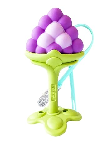 fruit teethers amazon