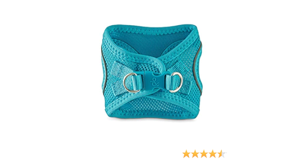 cheap pet accessories