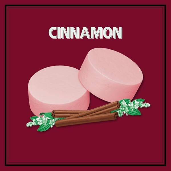 ALTOIDS CLASSIC CINNAMON HARD CANDY BREATH MINTS BULK, 1.76 OZ TIN (PACK OF 12)
