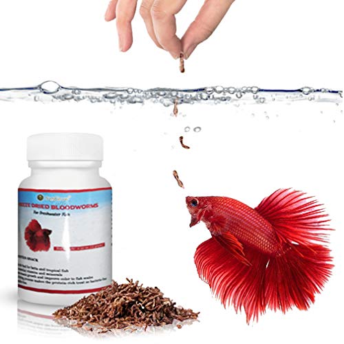 SunGrow Freeze Dried Bloodworms, 0.52 Ounce, Nutritious Aquatic Pet