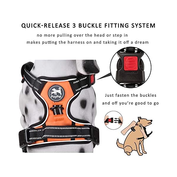 poypet dog harness