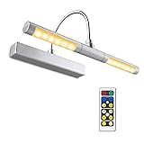 BIGLIGHT Wireless Battery Operated LED Picture