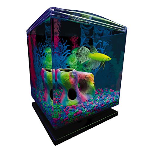Tetra GloFish Betta Aquarium Kit 1.5 Gallons, Easy Setup and