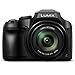 PANASONIC Lumix FZ80 4K Digital Camera, 18.1 Megapixel Video Camera, 60X Zoom DC VARIO 20-1200mm Lens, F2.8-5.9 Aperture, Power O.I.S. Stabilization, Touch Enabled 3-Inch LCD, Wi-Fi, DC-FZ80K (Black) primary