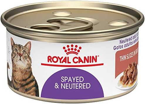 amazon royal canin cat food