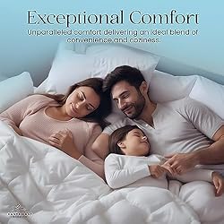 East Coast Bedding Cozy Dream Goose Down and
