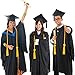 TecUnite Graduation Cords Honor 2025 Polyester Yarn Decorative Garland Twist Ties with Tassels for Bachelor Gown Graduation(Gold)