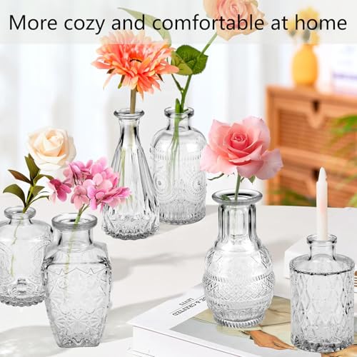 Glass Flower Vase, 12 Pack Small Flowers Vases Set, Mini Bud Plant Pots for Table Decoration & Centerpieces & Wedding, Vintage Bottle for Outdoor and Home Decor, صغيرة زجاج فازات, (Clear)