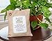 Moso Natural 200g and 500g Air Purifying Bag Deodorizers. Odor Eliminator for Cars, Closets, Bathrooms and Pet Areas. Absorbs and Eliminates Odors Natural Color