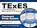 TExES (176) Business Education 6-12 Exam Flashcard Study System: TExES Test Practice Questions & Review for the Texas Examinations of Educator Standards