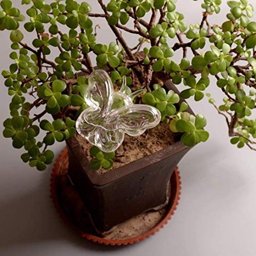 Weite Automatic Watering Device, Cute Butterfly Clear Glass Watering Sprinkler, Garden Sprinkler Head Garden Lawn Irrigation System for Plant and Flower (Clear)