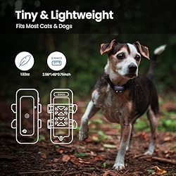SEEWORLD P1 GPS Cat Dog Tracker - for Anti