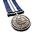 Military Medal Distinguished Service Medal 1914 Military Medal DSM Replica