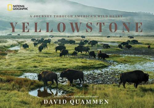 Download Yellowstone: A Journey Through America's Wild Heart