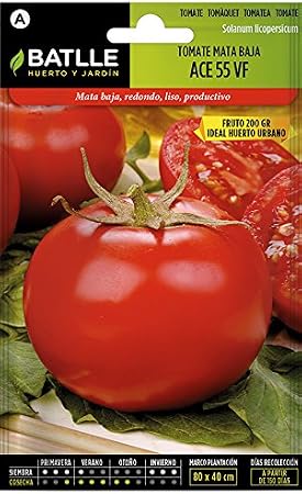 Semillas Hortícolas - Tomate Ace 55 VF - Batlle: Amazon.es: Jardín