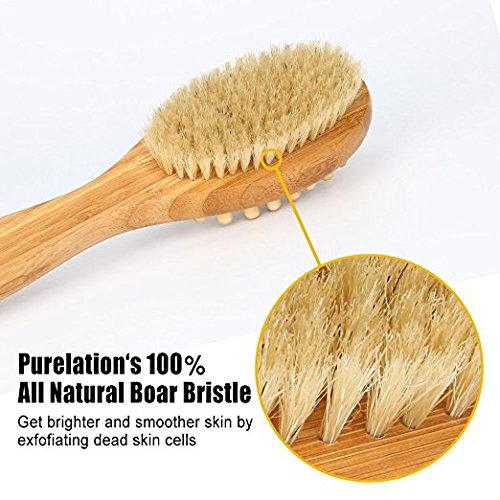 AHYUAN Bath Body Brush 100% Natural Boar Bristle Dry Skin Scrub Brush With 15.7" Long Wooden Handle for Dry Brushing and Shower Cellulite & Exfoliating (Natural Bristles)
