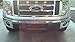 Mountains2Metal 2009-2014 Ford F-150 Powder Coated Black Bumper Grille Insert 100-10-1