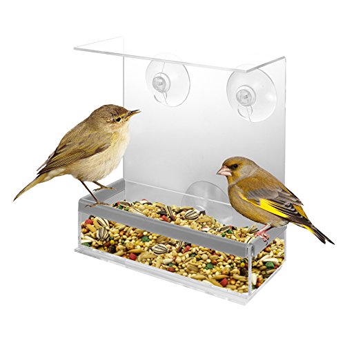 Kovot Acrylic Window Bird Feeder and Perch – View Birds Close-Up from Inside Your Home (1)