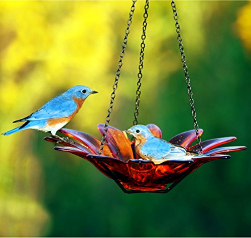 Romantic Decor and More Glass Daisy Birdbath 8 in. G290VF Aqua Transparent Wild Bird Feeder, Colored Birdseed Bowl
