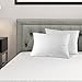 Maxi Deluxe Queen Size Bed Pillow – Ultra Soft & Comfortable – Versatile for Side, Back & Stomach Sleepers – 300TC Cotton Top – 2 Pack – (Queen Size Pillow is 20 x 30)