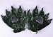 Fashion Warm Adorable Unisex Plush Fancy Party Kigurumi Pet Panda Bear Cat Cartoon Animal Paw Claw Hand Gloves Women Men (Green)