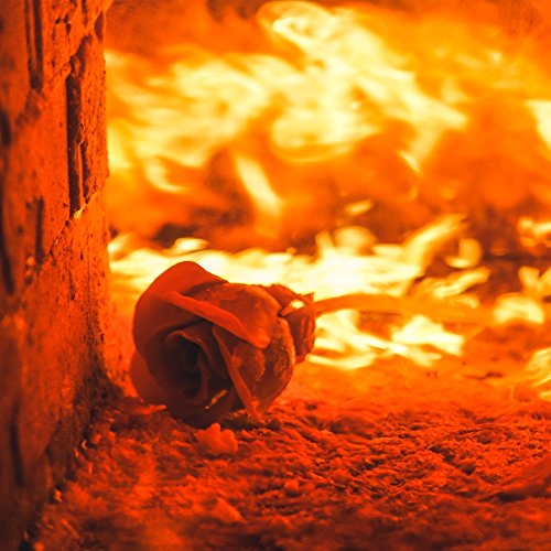 5 Hand+Forged+Iron+Rose+Anniversary