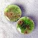 Pair - Pistachio Green Glass Essential Oil Ear Plugs Organic Handmade Ceramic double-flared body jewelry