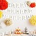 Fecedy ® Cartoon Happy Birthday Banner Colorful Bunting (White)