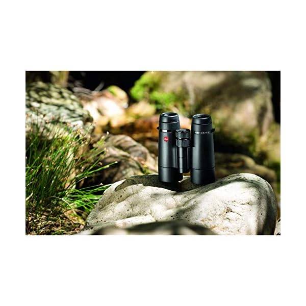Leica 40093 Ultravid 8X42 HD Plus Fernglas – Bild 3