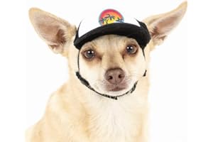 Sunset Collection, PupLid Trucker Hats for Dogs (XXS) Premium Stylish Sun Protection for The Modern Dog - Adjustable for Secure Comfortable Fit on Active Dogs (Black, Surfer Dog)