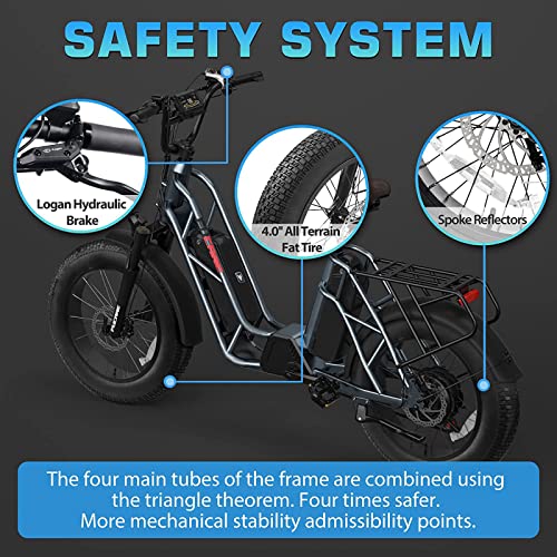 Fucare Electric Bike,Gemini/Gemini X Dual Samsung Battery 30AH,750W 48V